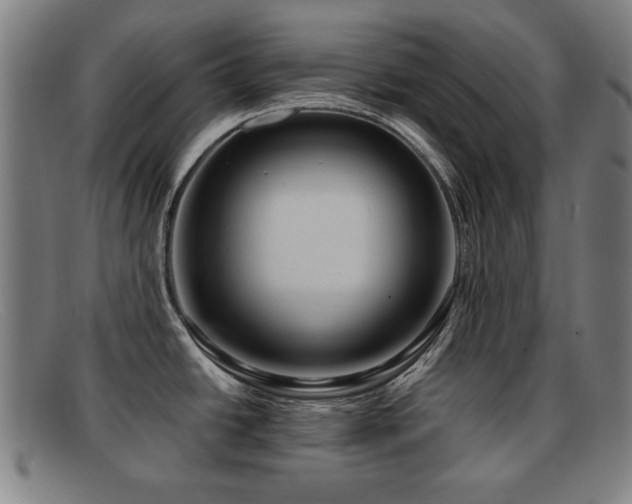 X0000092111438200709121610