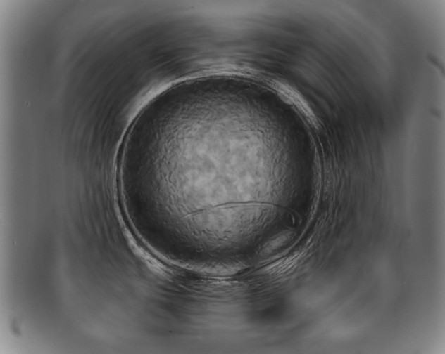 X0000092111439200709121610