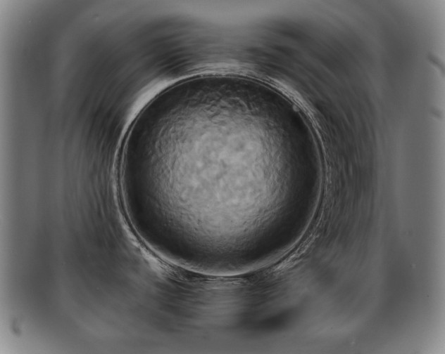 X0000092111440200709121610