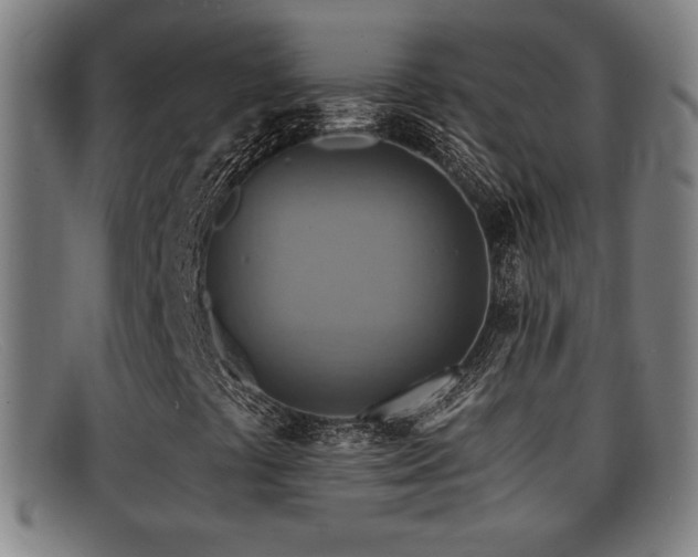 X0000092111441200709121609