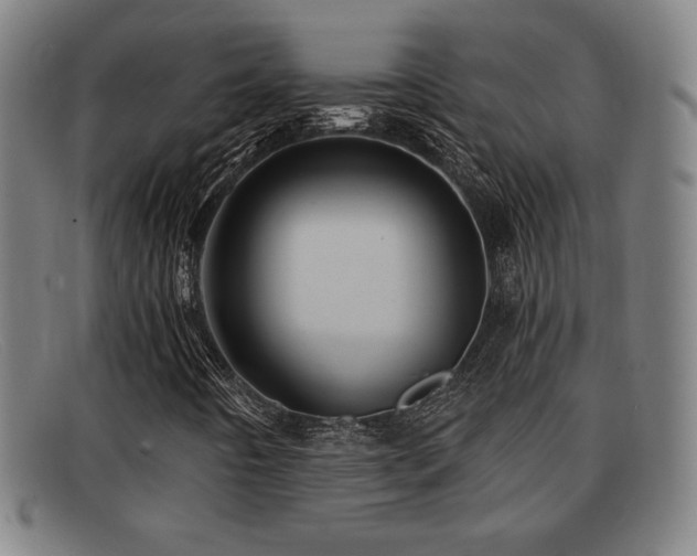 X0000092111442200709121609