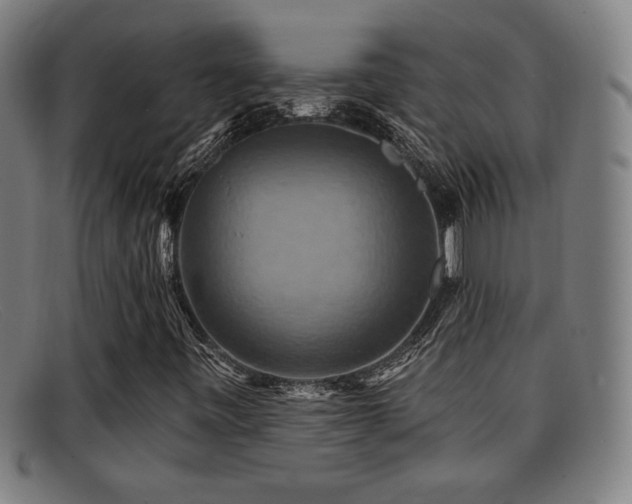 X0000092111443200709121609