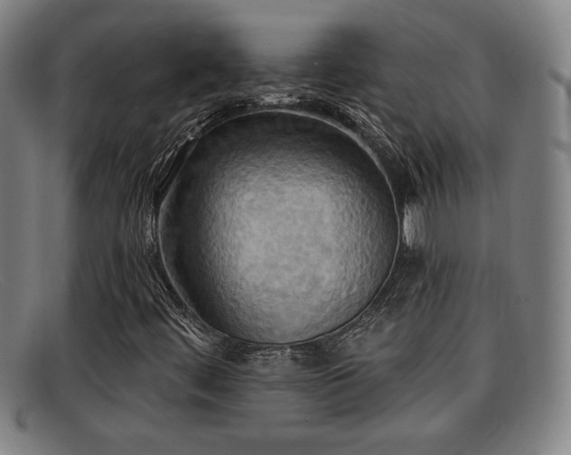 X0000092111444200709121609