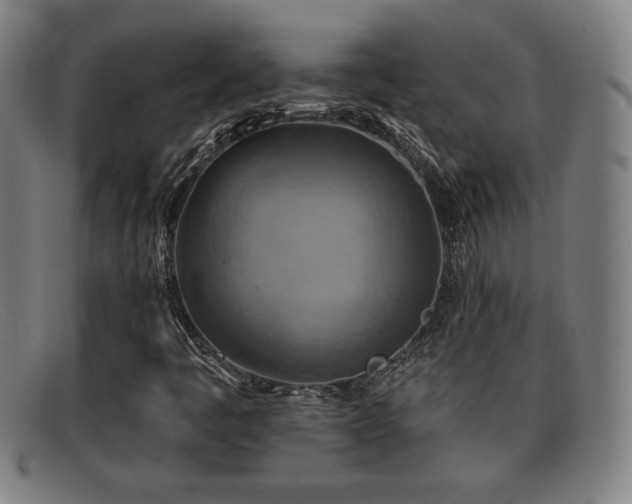 X0000092111445200709121609