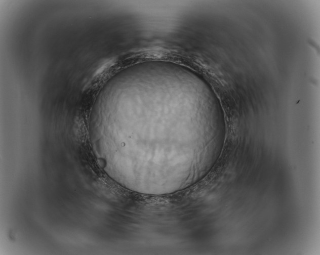 X0000092111446200709121609