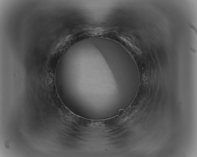 X0000092111447200709121609