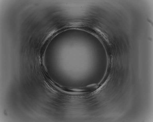 X0000092111449200709121609