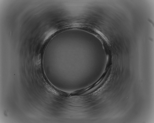 X0000092111450200709121609