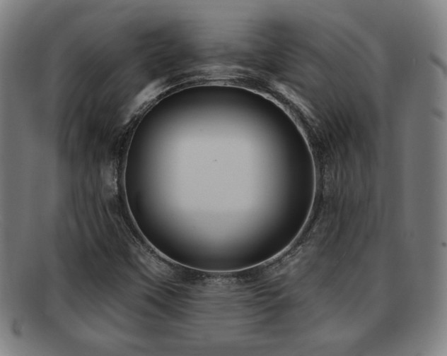 X0000092111451200709121609