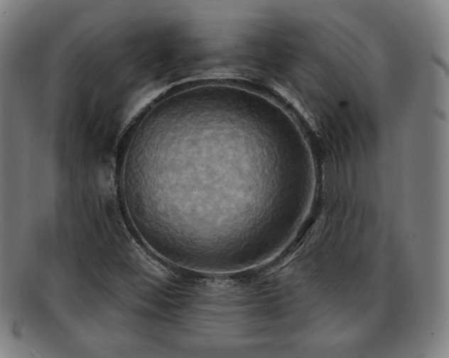 X0000092111452200709121609