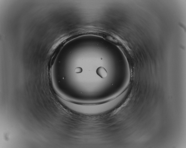 X0000092111453200709121609