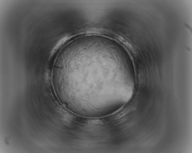 X0000092111454200709121609