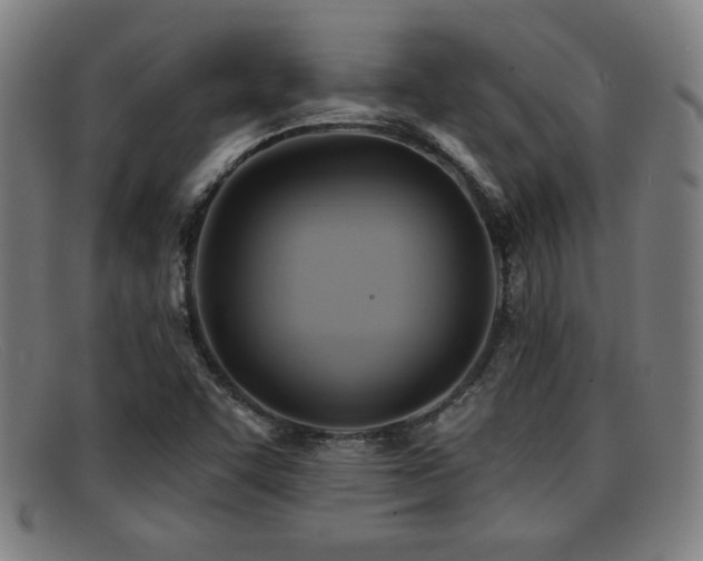 X0000092111455200709121609