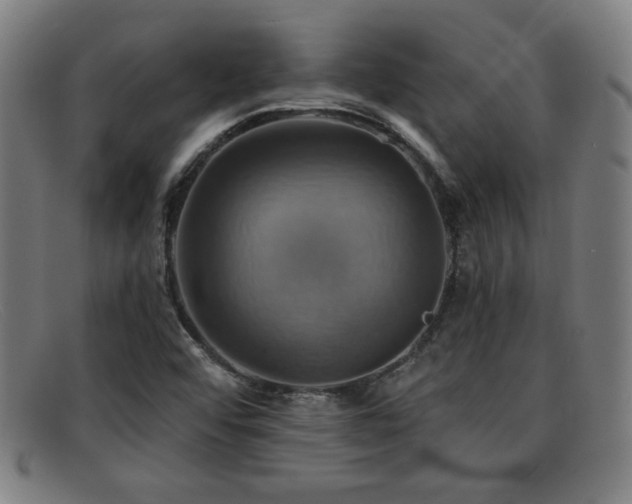 X0000092111456200709121609