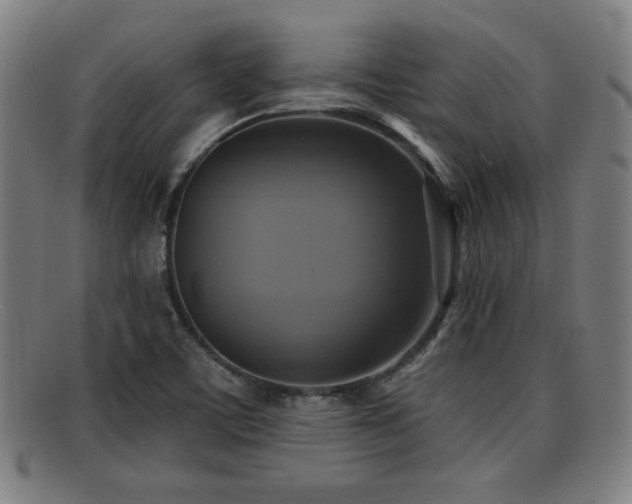 X0000092111459200709121609