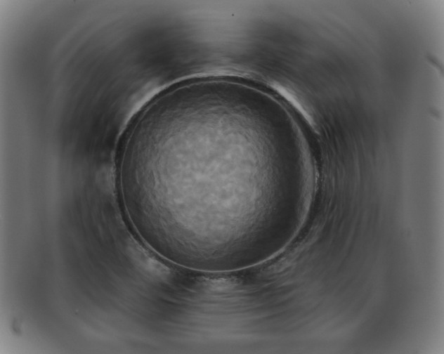 X0000092111460200709121609