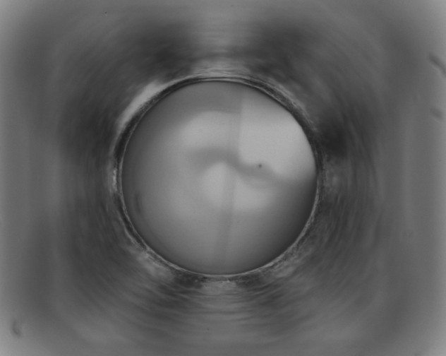 X0000092111462200709121609