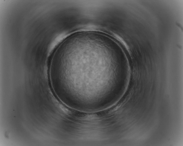 X0000092111464200709121609