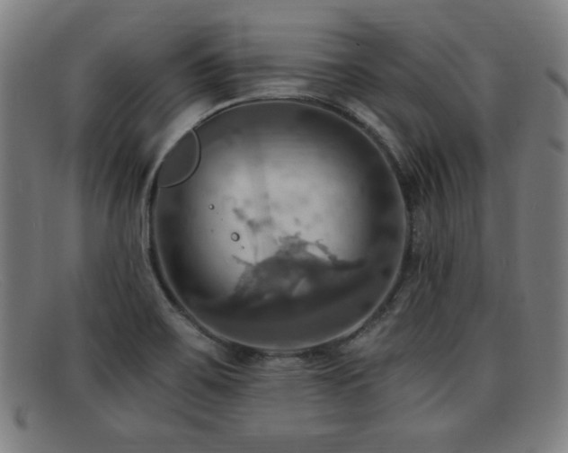 X0000092111467200709121609