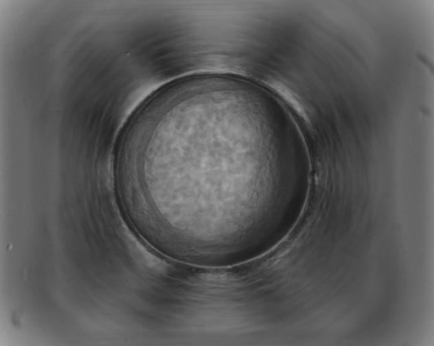 X0000092111468200709121609