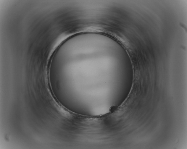 X0000092111470200709121609