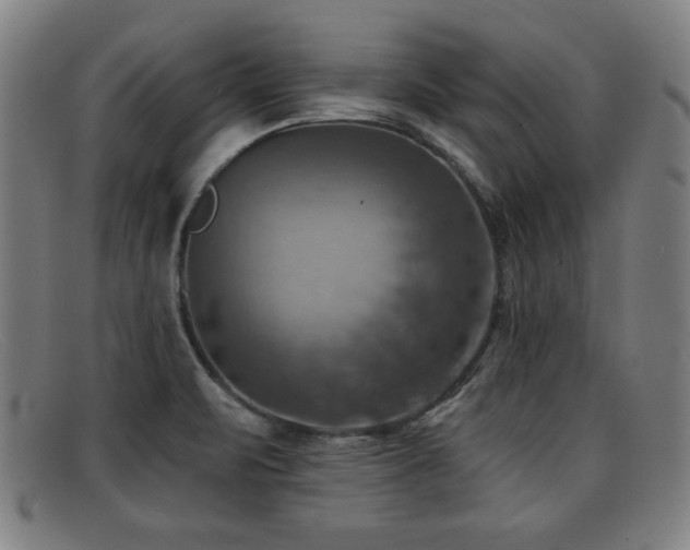 X0000092111471200709121609