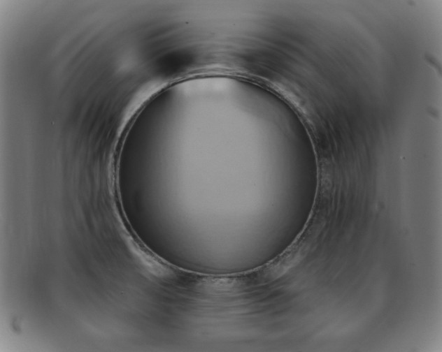 X0000092111474200709121609