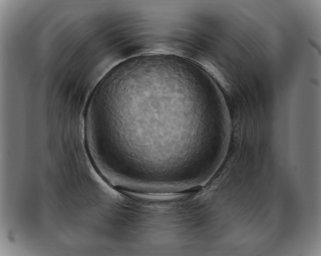 X0000092111476200709121609