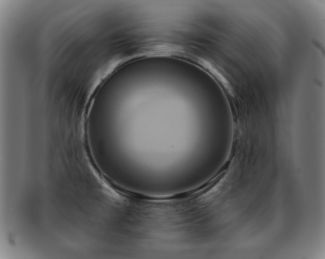 X0000092111477200709121609