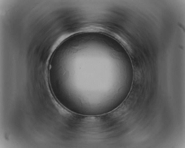 X0000092111478200709121609