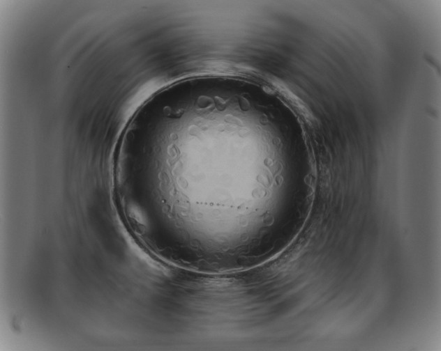 X0000092111479200709121609