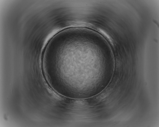 X0000092111480200709121609