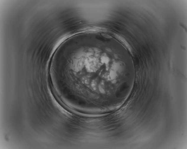 X0000092111483200709121609