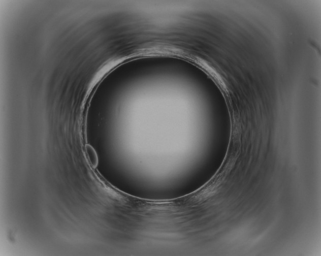 X0000092111486200709121608