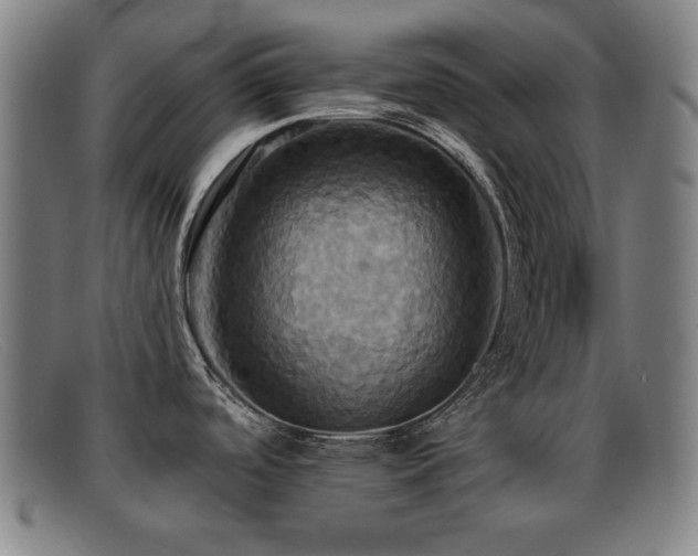 X0000092111488200709121608
