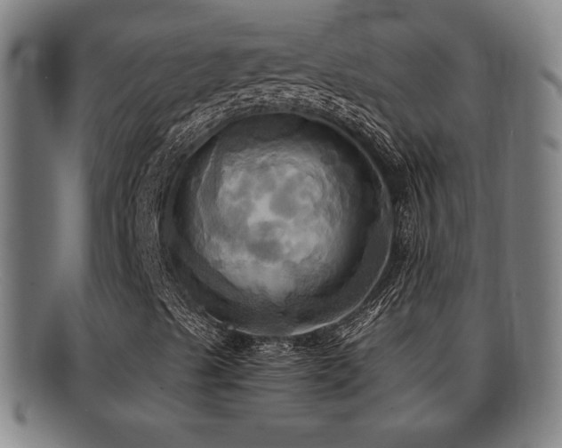 X0000092111489200709121608