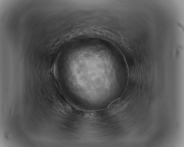 X0000092111490200709121608