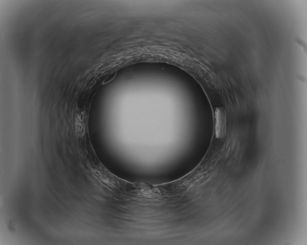 X0000092111491200709121608