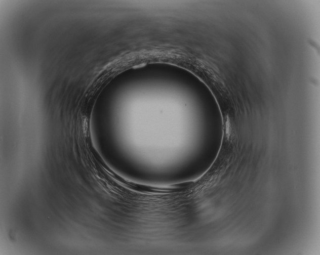 X0000092111492200709121608