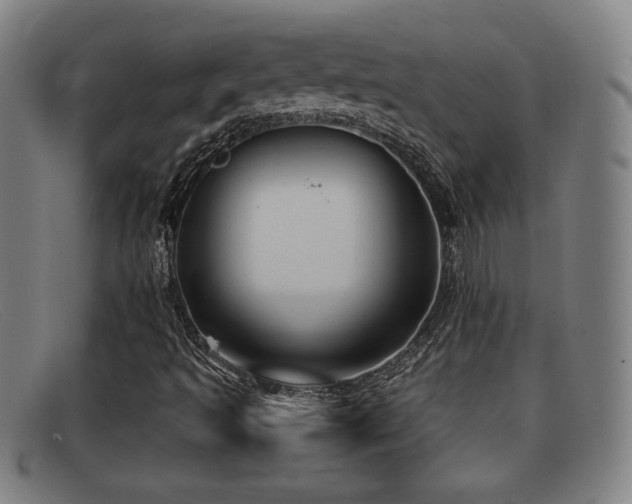 X0000092111493200709121608