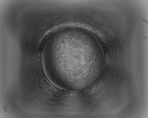 X0000092111494200709121608
