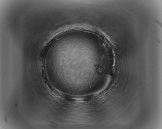 X0000092111496200709121608