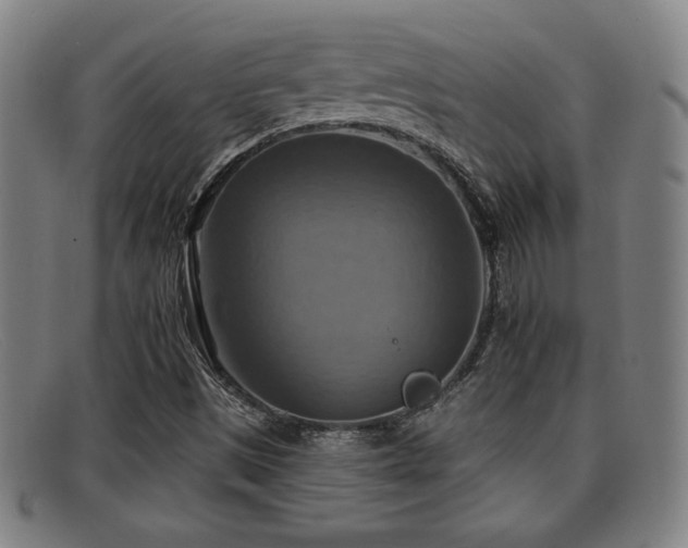 X0000092111497200709121608