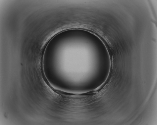 X0000092111500200709121608