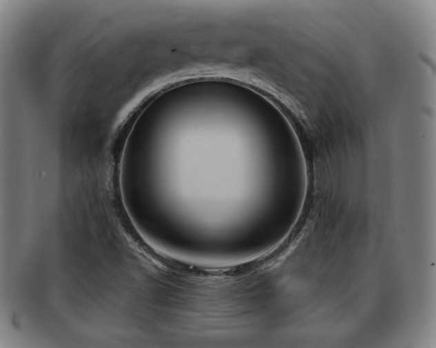 X0000092111502200709121608