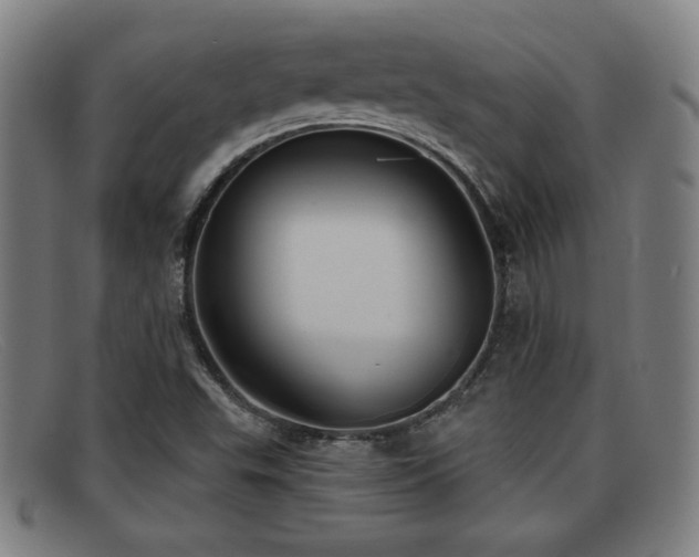X0000092111503200709121608