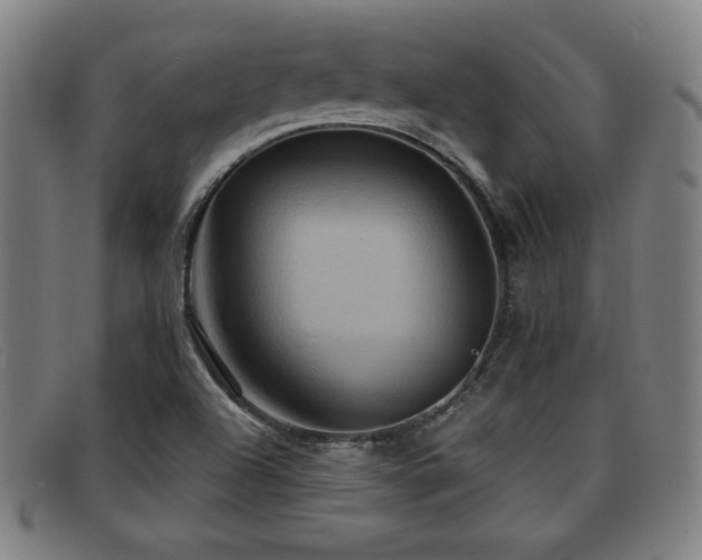 X0000092111504200709121608