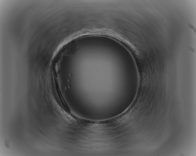 X0000092111506200709121608
