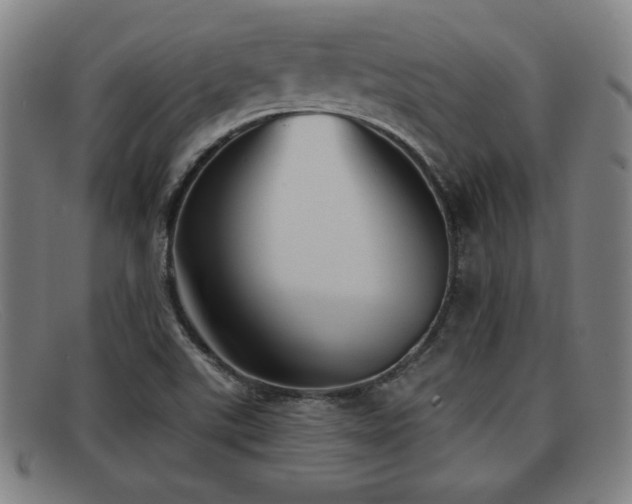 X0000092111507200709121608
