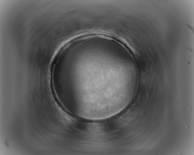 X0000092111508200709121608